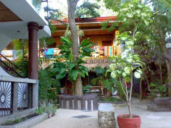 Love'S Beach & Dive Resort モアルボアル エクステリア 写真