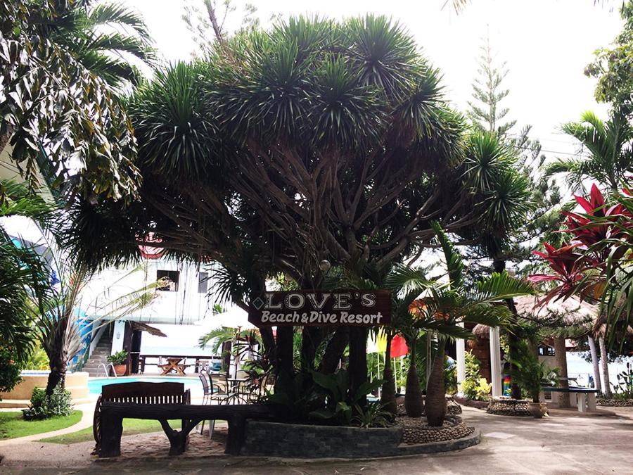 Love'S Beach & Dive Resort モアルボアル エクステリア 写真