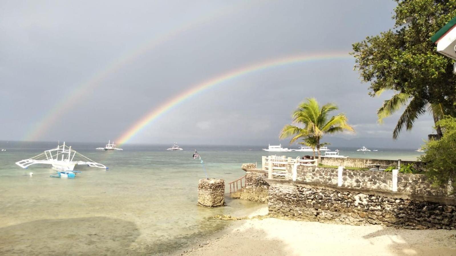 Love'S Beach & Dive Resort モアルボアル エクステリア 写真