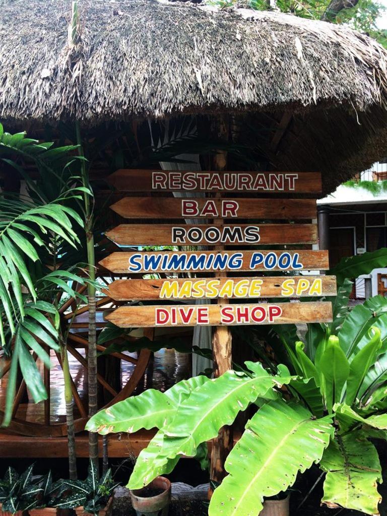 Love'S Beach & Dive Resort モアルボアル エクステリア 写真