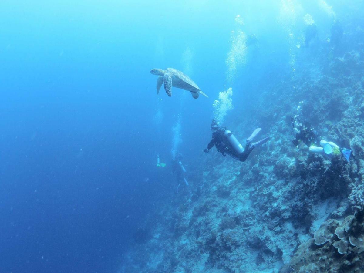 Love'S Beach & Dive Resort モアルボアル エクステリア 写真