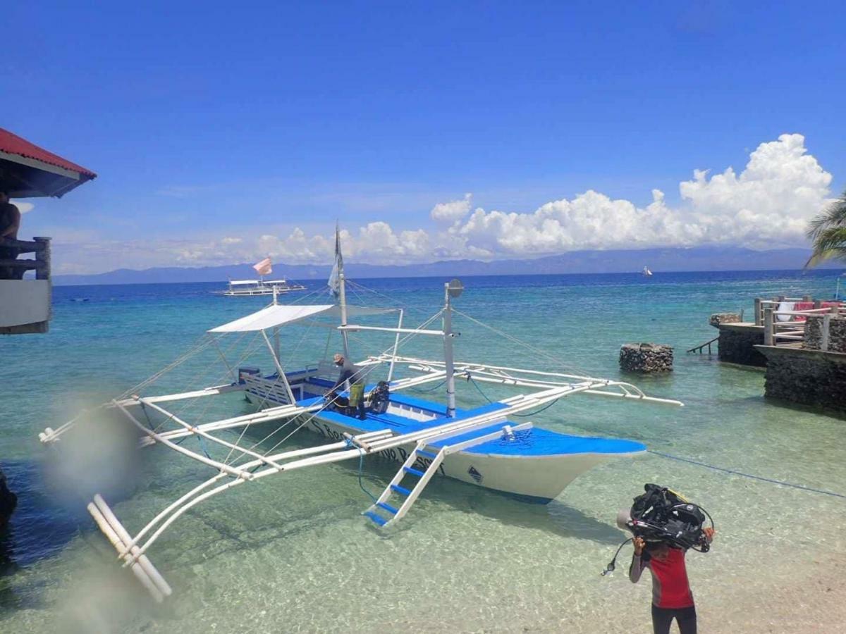 Love'S Beach & Dive Resort モアルボアル エクステリア 写真
