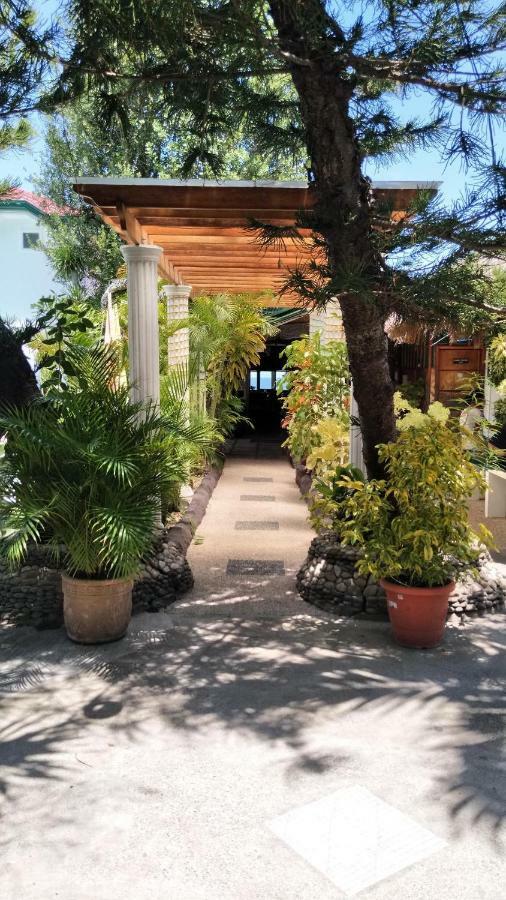 Love'S Beach & Dive Resort モアルボアル エクステリア 写真